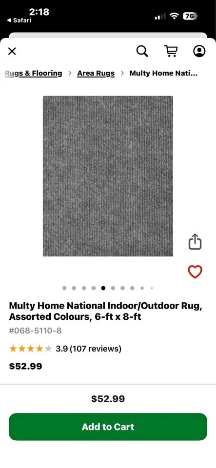 Indoor outdoor carpet 6’ x 8’