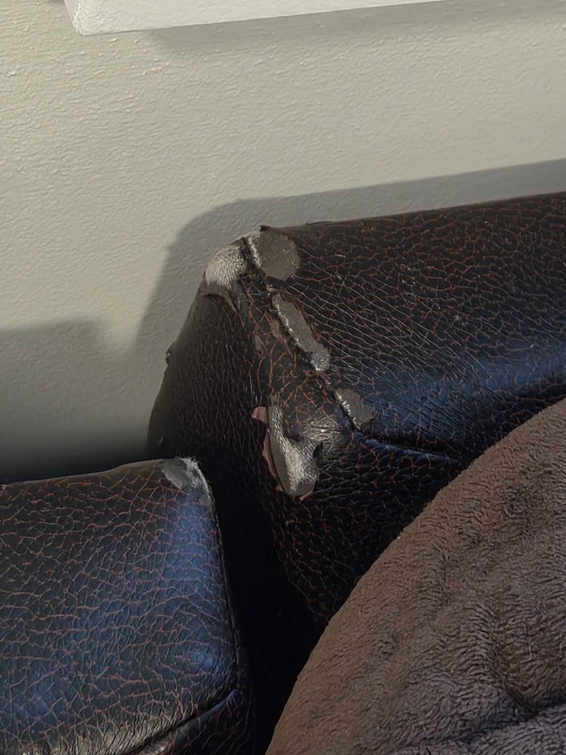 4 Piece Modular Couch - photo 4