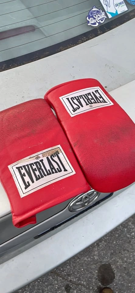 Everlast Boxing Gloves