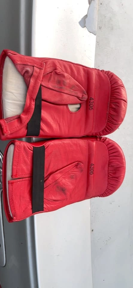 Everlast Boxing Gloves - photo 2