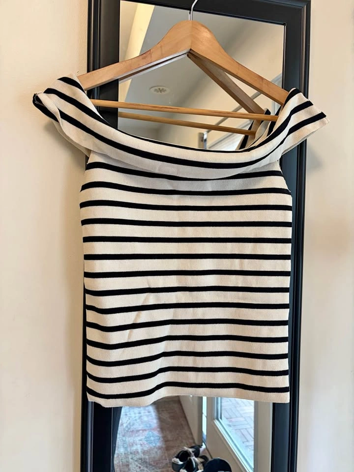 Zara Striped Off Shoulder Knit Top (Medium)