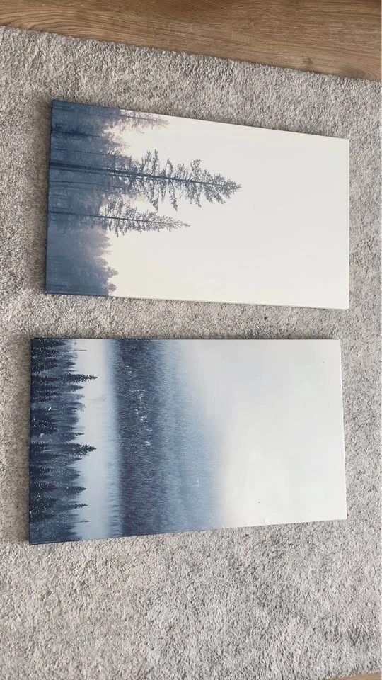 Set of 8 Nature-Themed Canvas Prints - photo 2