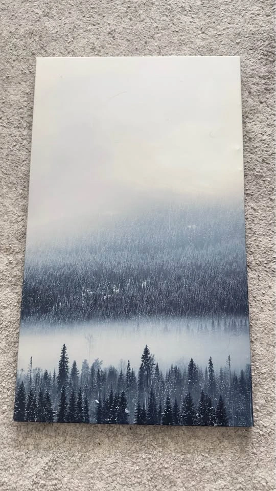 Set of 8 Nature-Themed Canvas Prints - photo 3