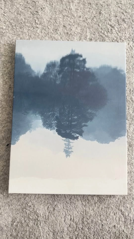 Set of 8 Nature-Themed Canvas Prints - photo 4