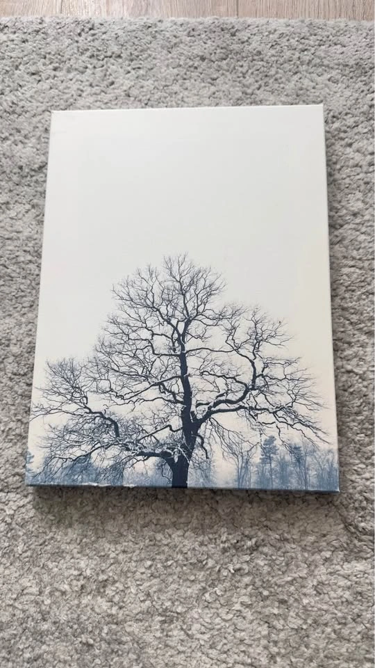 Set of 8 Nature-Themed Canvas Prints - photo 5