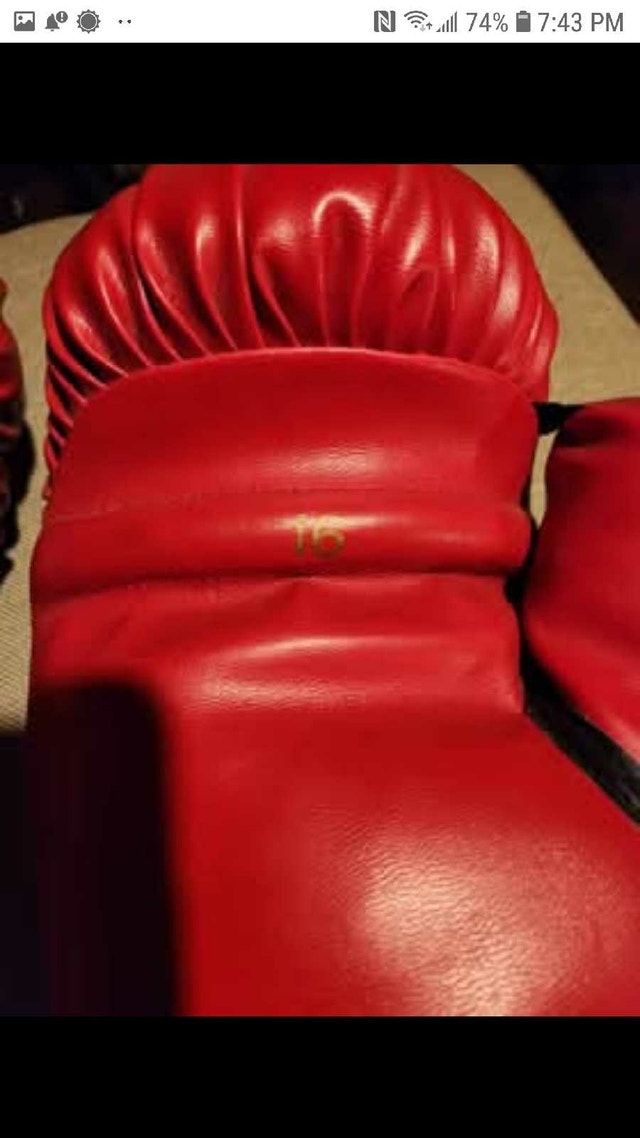 Boxing & Light Weight Gloves, Heavy Bag Mount - photo 2