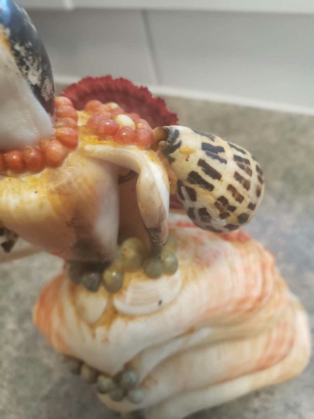 Vintage Handmade Shell Art Doll Figurine - Spanish Dancer - photo 2