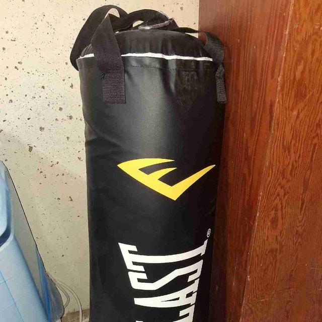 Punching Bag 'EVERLAST' with gloves