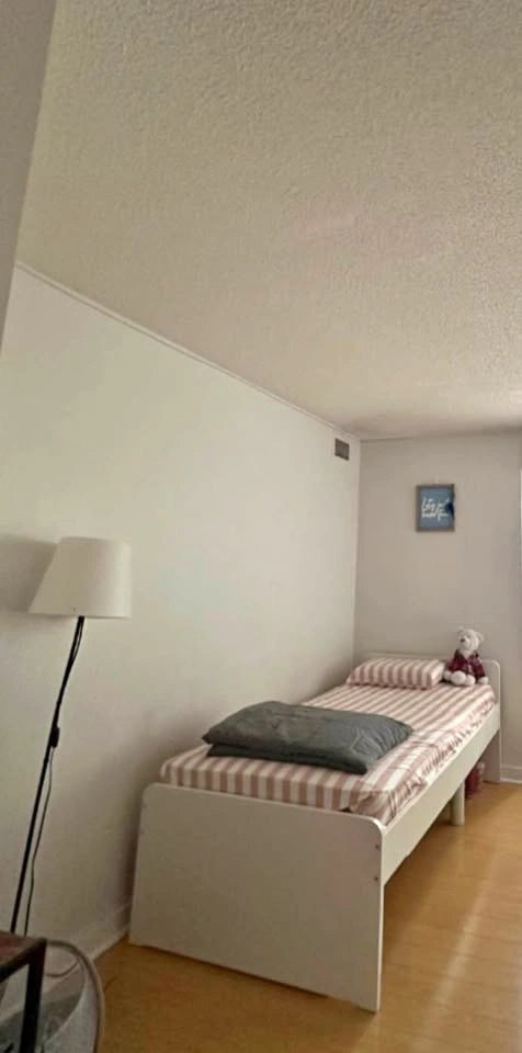 Twin Bed and Mattress