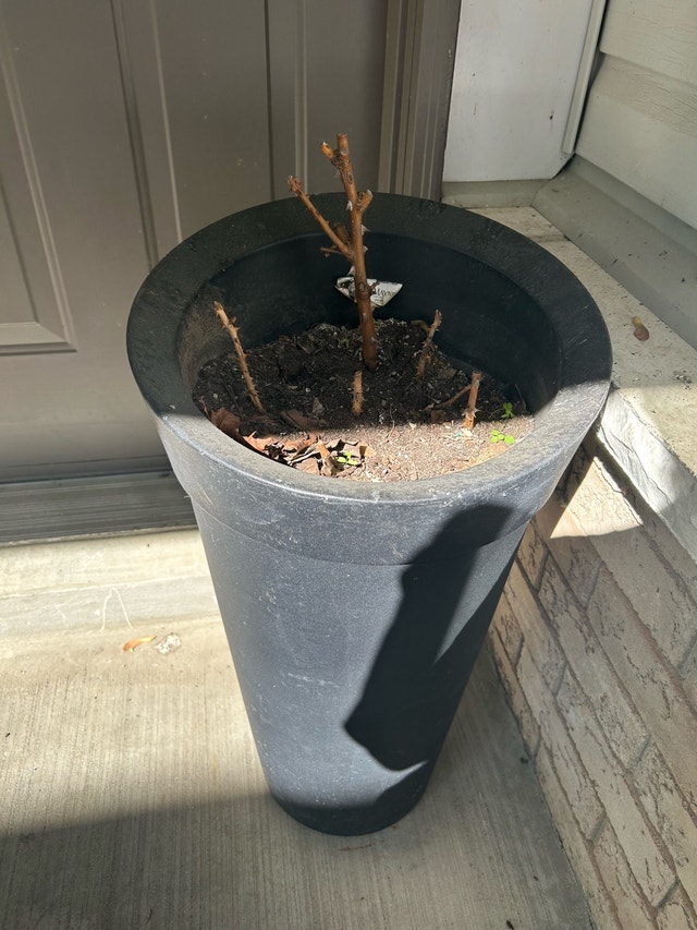 Tall Black Planter - photo 2