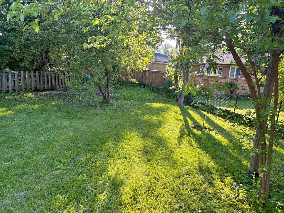 Lawn mowing