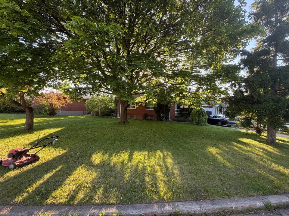 Lawn mowing - photo 2