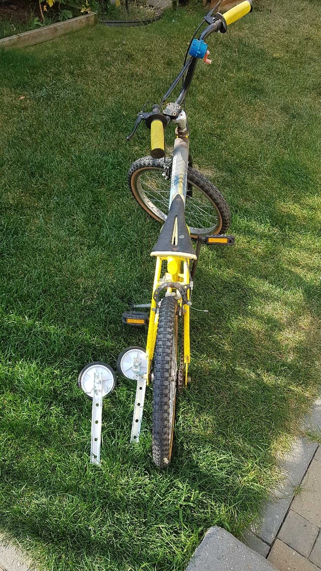 Venture Street Boss Bike 1980s