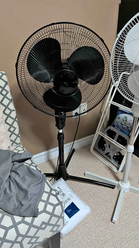 For Living 18" Black Pedestal Fan
