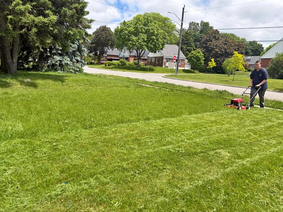 Lawn mowing and trimming