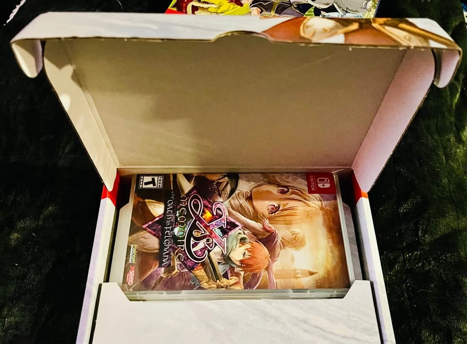 Ys Memoire The Oath Of Feighana Day 1 Edition - Switch - photo 2