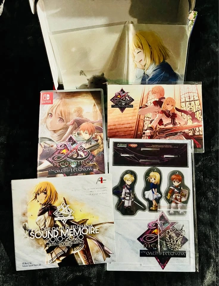 Ys Memoire The Oath Of Feighana Day 1 Edition - Switch - photo 4