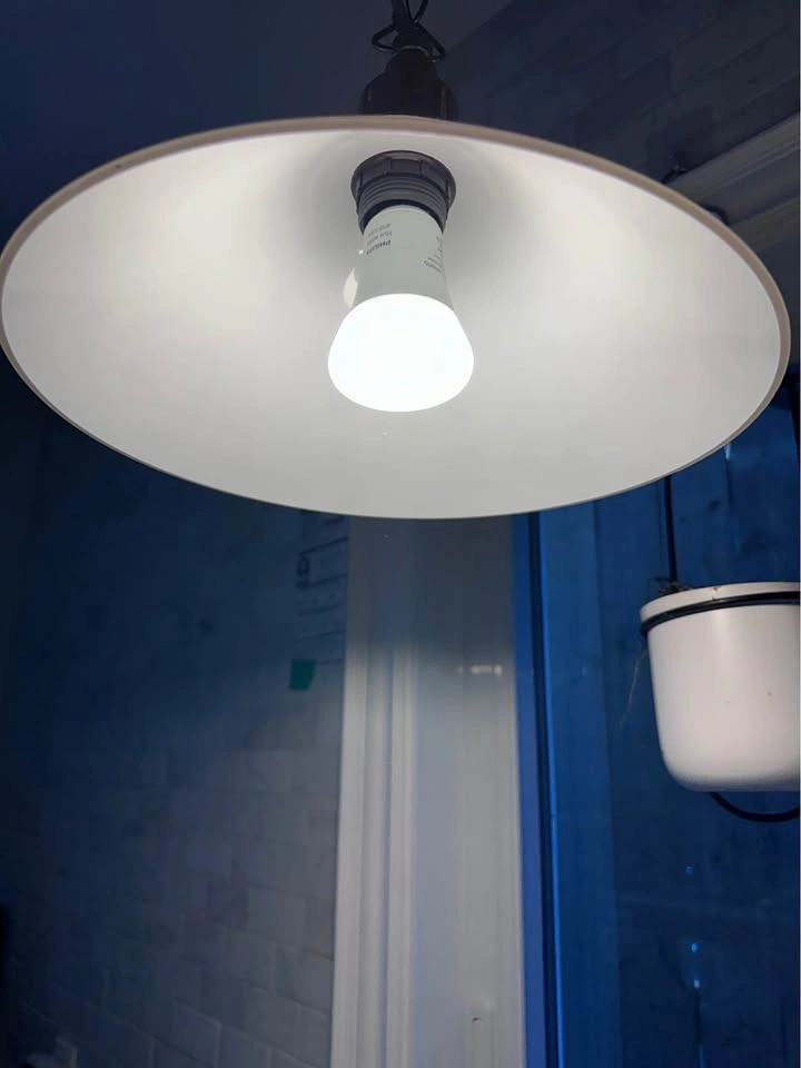 Ceiling pendant with brushed aluminum finish and white glass - photo 3