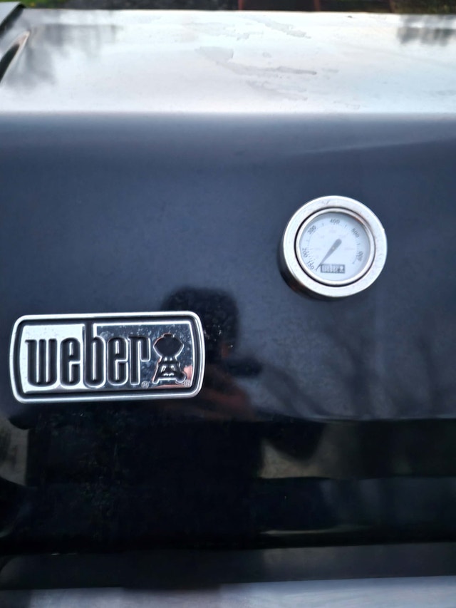 Weber BBQ Propane barbeque Genesis GS4 - photo 2