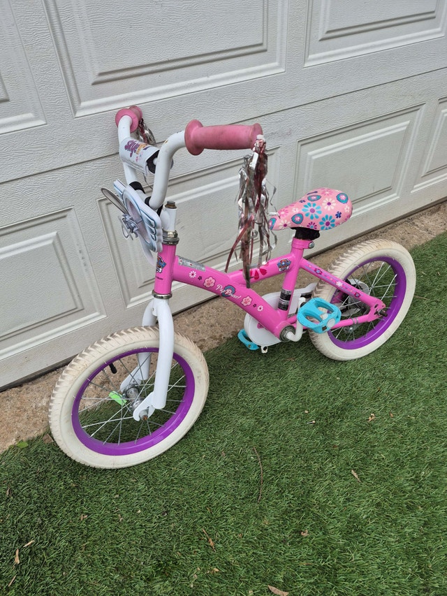 14'' Paw Patrol Pup Power Bike
