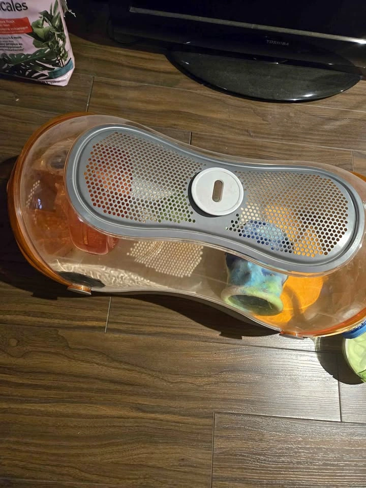 Ovo Hamster cage