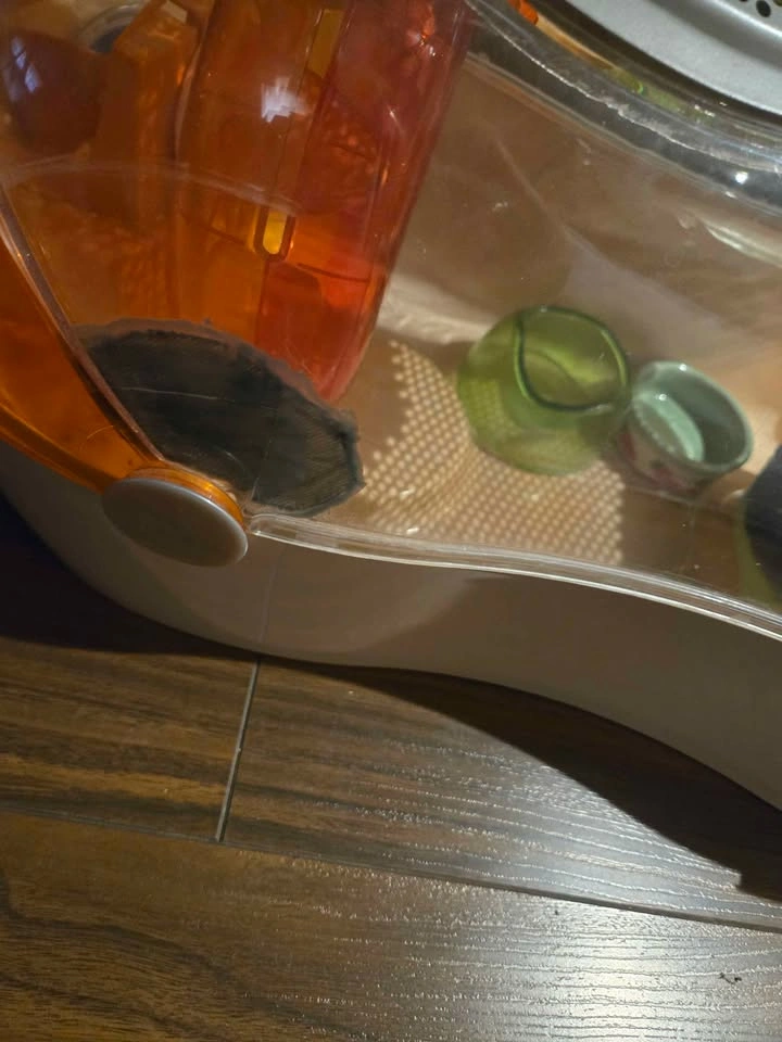 Ovo Hamster cage - photo 2