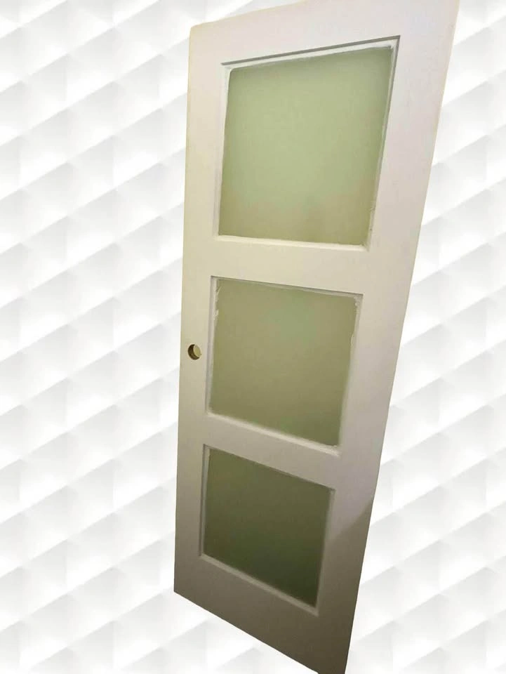 28” BRAND NEW Triple Pane Frosted Glass Interior Door - photo 2