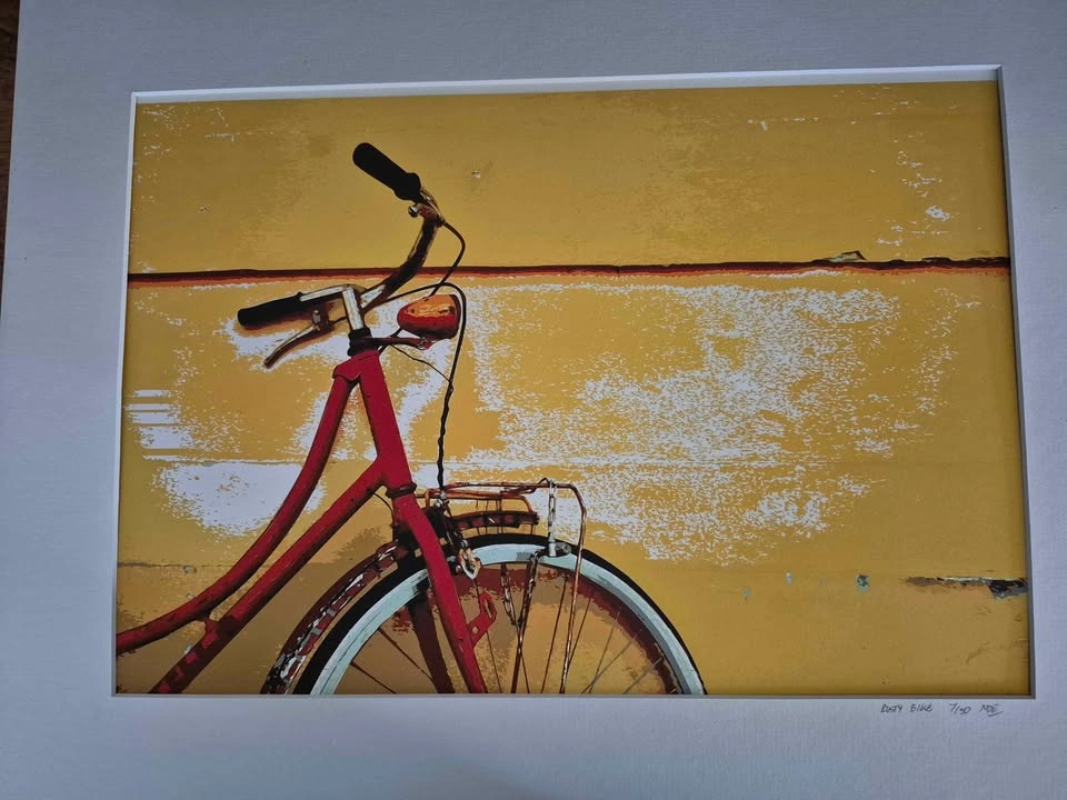 Bicycle Decor - photo 2