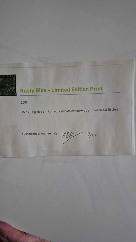 Bicycle Decor - photo 3