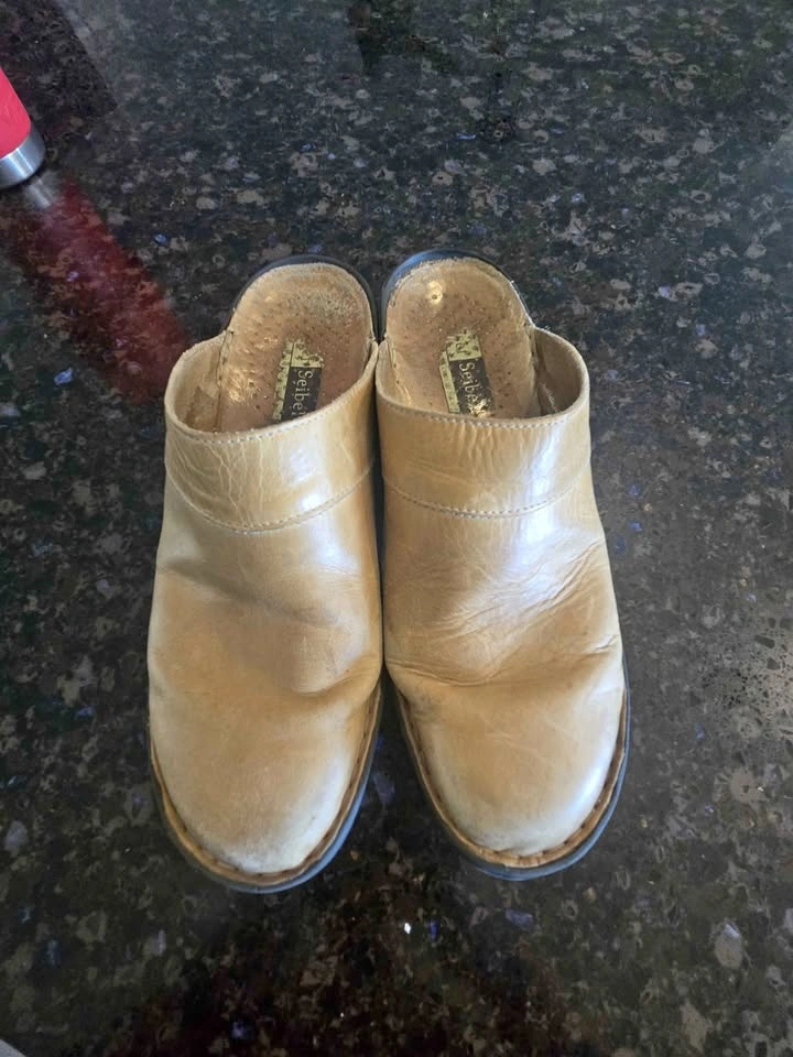 Joesph Siebel mule slippers