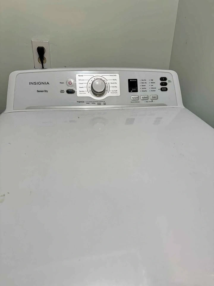 Dry electric dryer
