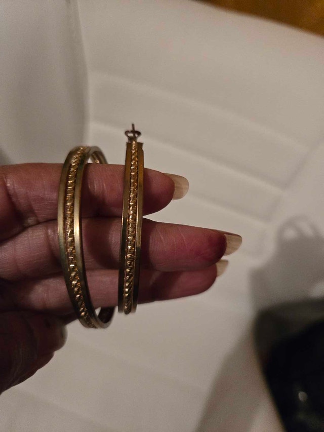 Hoop Earring Collection - photo 4