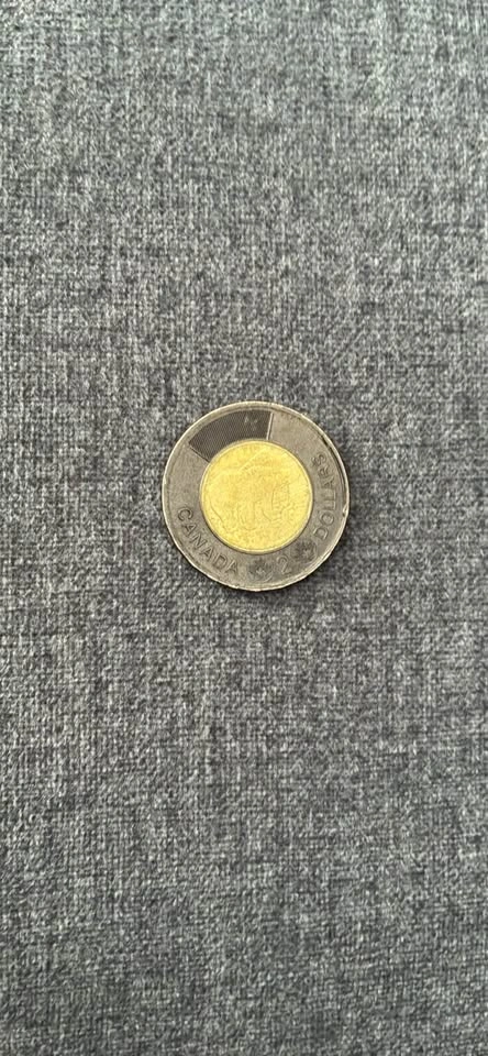 Rare black toonie produced in 2022 - photo 2