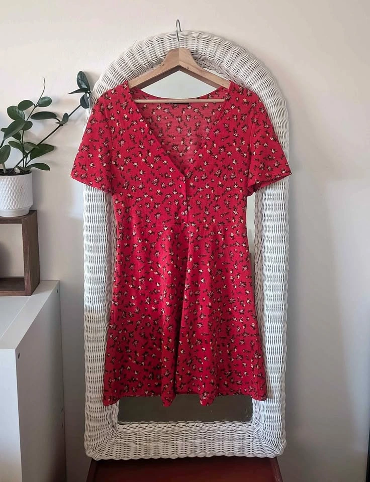 Red Floral Zara Dress