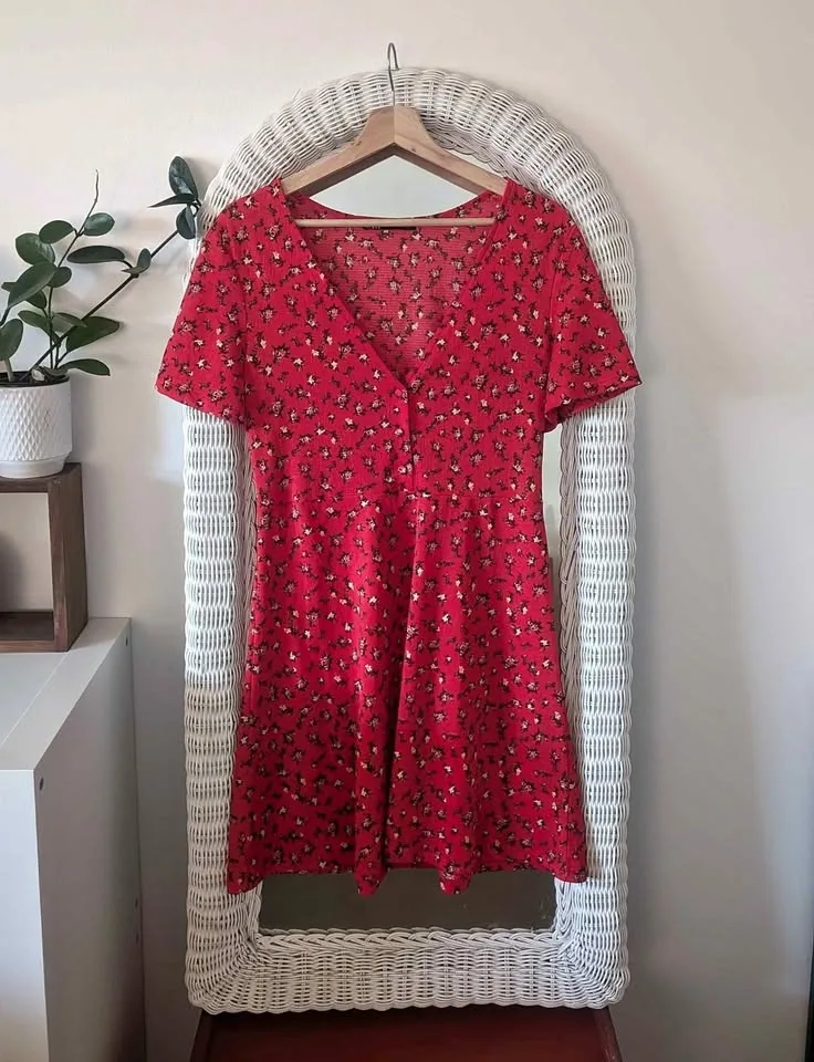 Red Floral Zara Dress