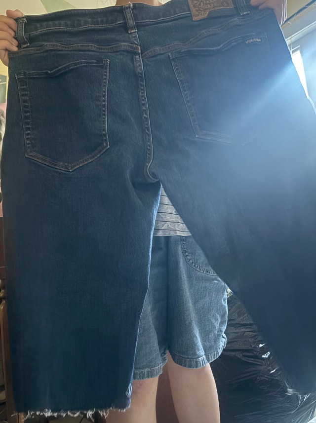 Signature Levi's Shorts and Volcom Pants - photo 3
