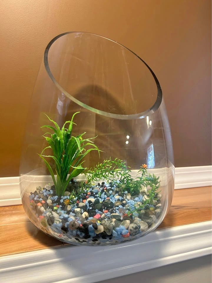 Fish tank