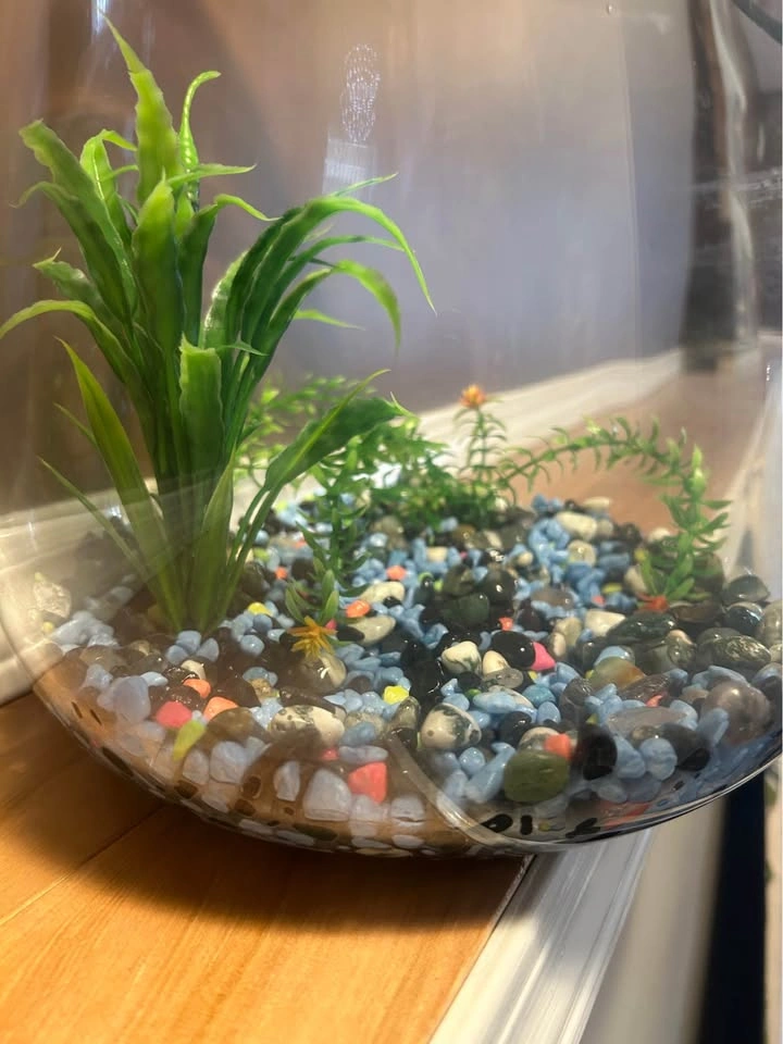 Fish tank - photo 3