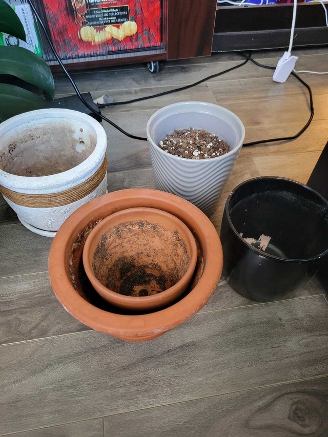 Plant pots