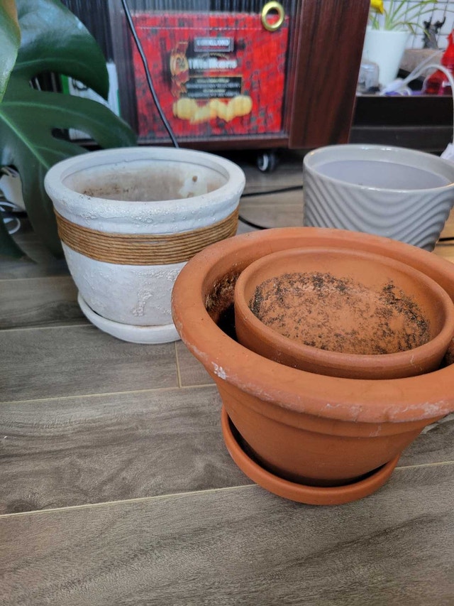 Plant pots - photo 2