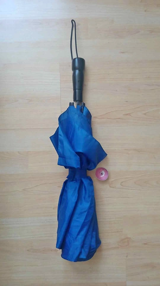 Large Blue Umbrella