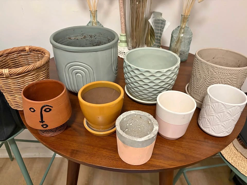 Assorted Plant Pots and Wicker Basket