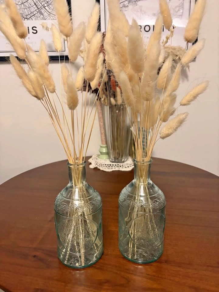 2 Decorative Glass Vases with Dried Bunny Tail Grass