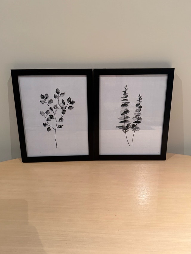 Botanical Wall Art Prints