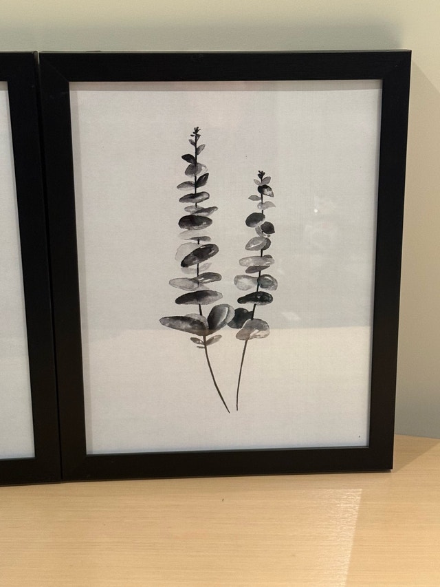 Botanical Wall Art Prints - photo 2