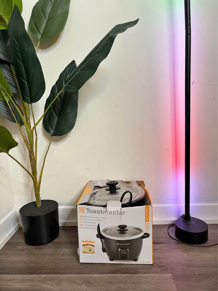 Electric Rice Cooker