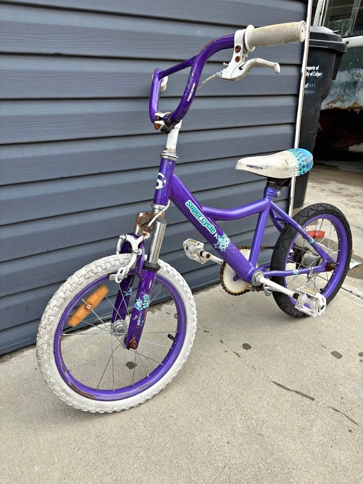 Kidman bike