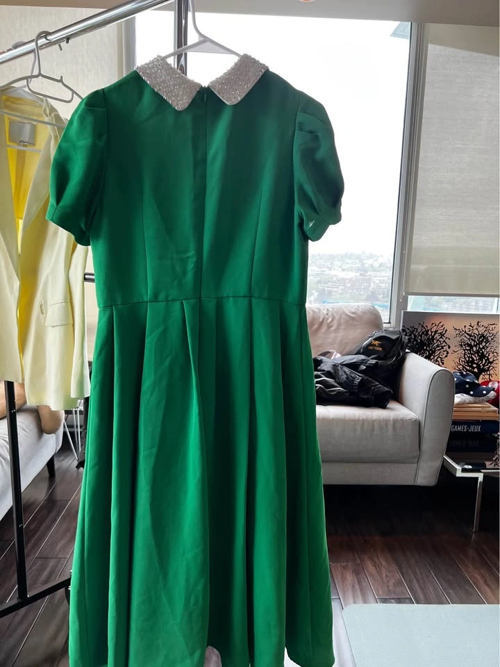 Green Pearl Collar Bee Dress - photo 2