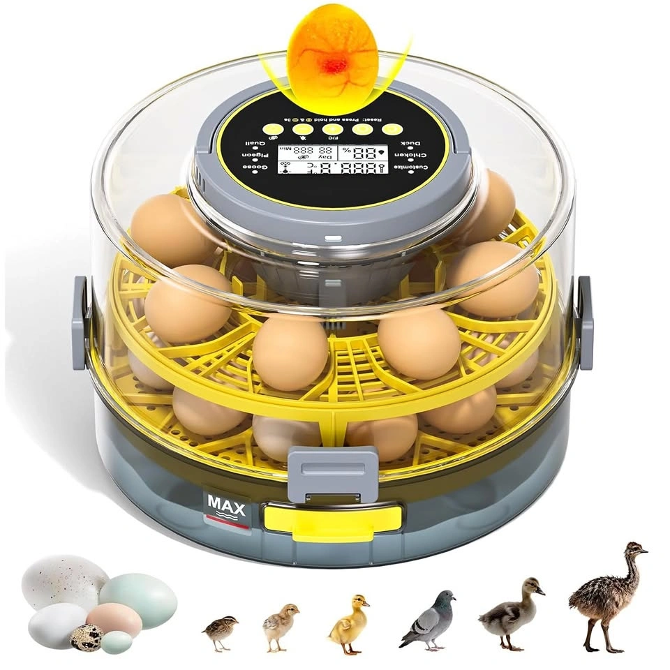 20 Egg Incubator with Auto Rotation, Temperature & Humidity Cont