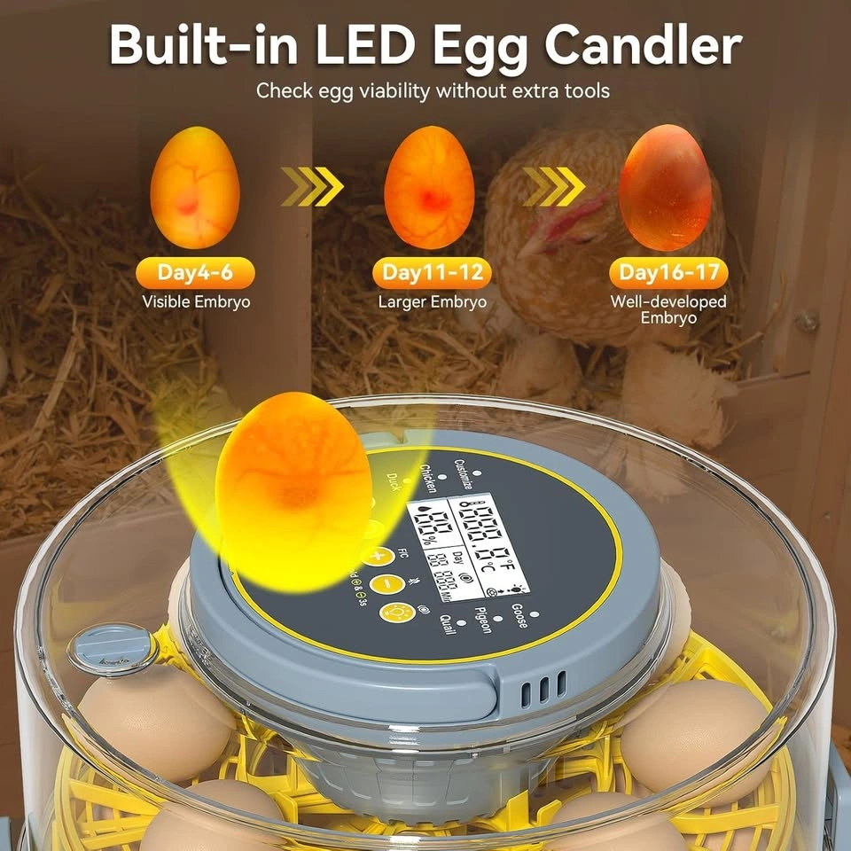 20 Egg Incubator with Auto Rotation, Temperature & Humidity Cont - photo 4